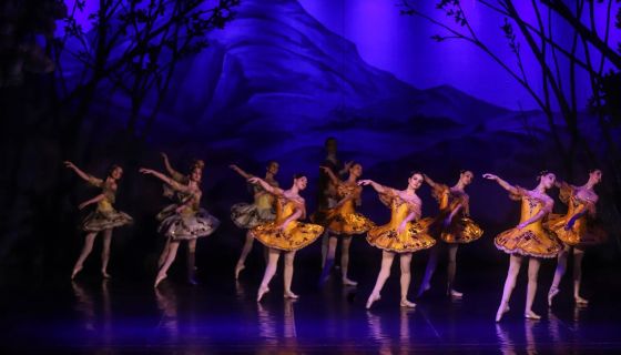 Балет «Спящая Красавица»